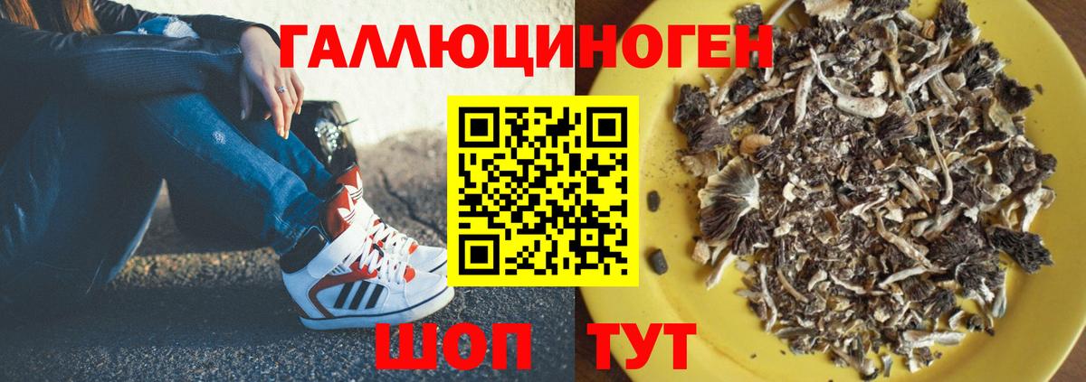Галлюциногенные грибы Psilocybine cubensis  Вход с VPN  Снежинск 